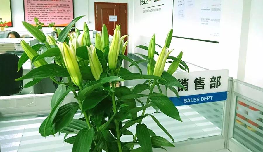 濃情七夕，最美祝福！